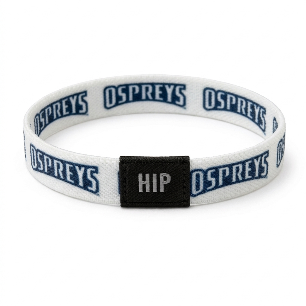 Unf Ospreys White Hair Tie Bracelet