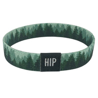 Alpine Adventure Forest Pine